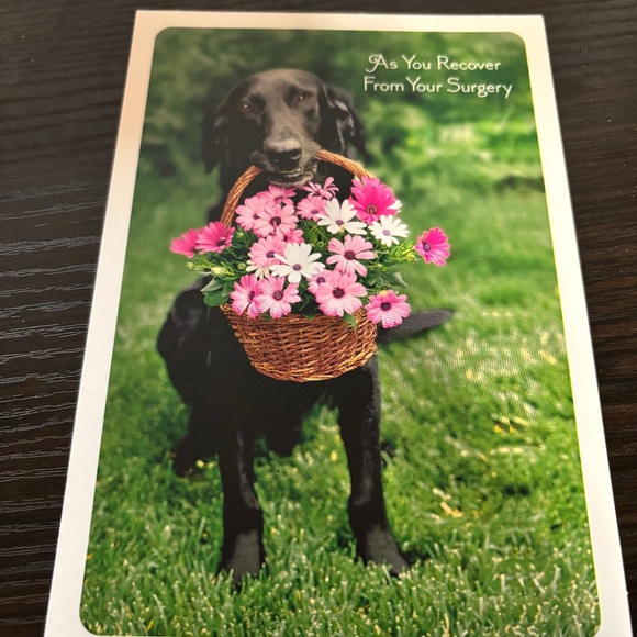Black Lab Dog get well greeting card - Picture 1 of 2